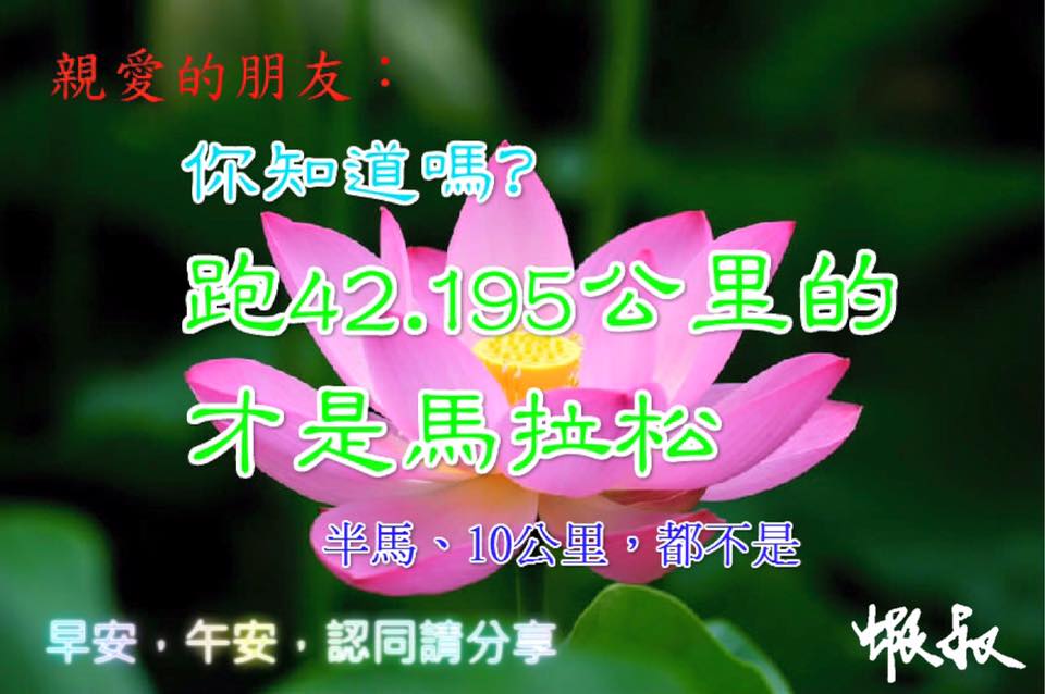 12112513_987825664631415_2136008053900609708_n